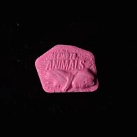 https://www.saferparty.ch/warnungen/be-kind-to-animals-mdma