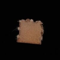 https://drugchecking.berlin/aktuelle-warnungen