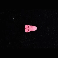 https://www.saferparty.ch/warnungen/nasa-2cb-2c-b170425